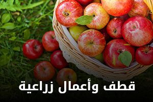 category-agriculture