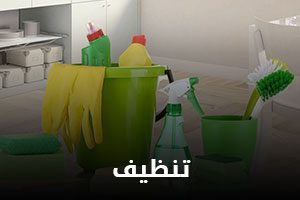 category-cleaning