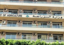The ministry of agriculture is organizing a competition for contracting